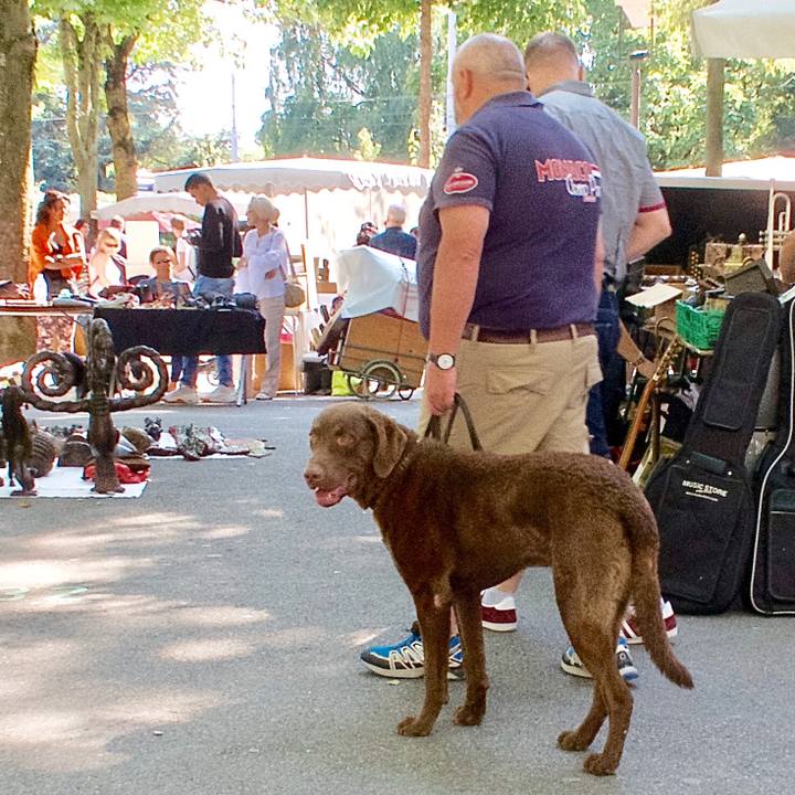 80a05a65 ed47 4d67 9eb5 c015357c55f0