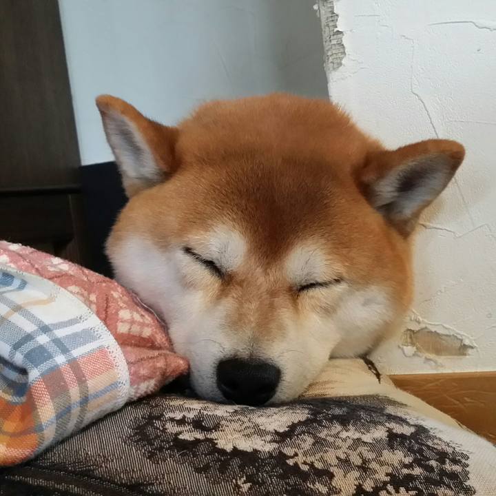 80a06944 4dbb 4629 9ee2 b80057f5fe4d