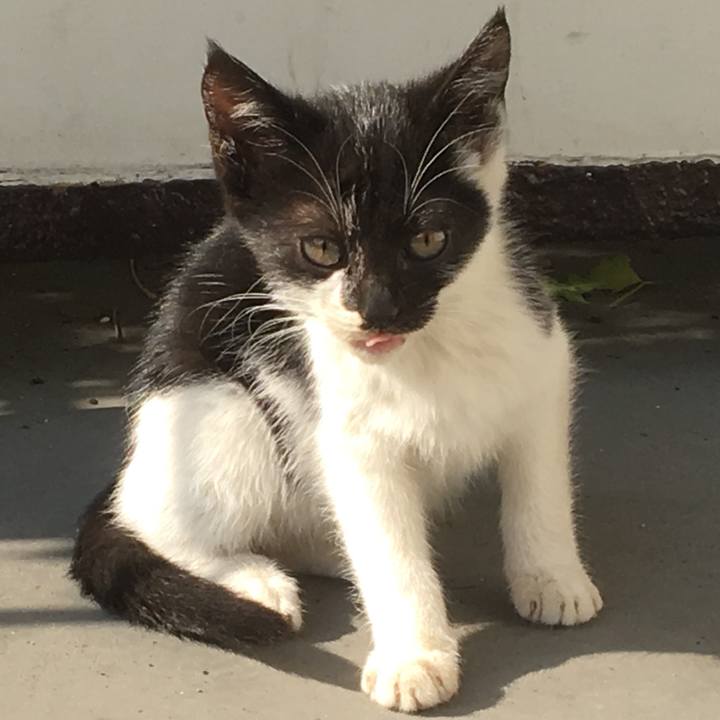 80a0ac86 a8db 488a 86e8 ae907a3c1dab