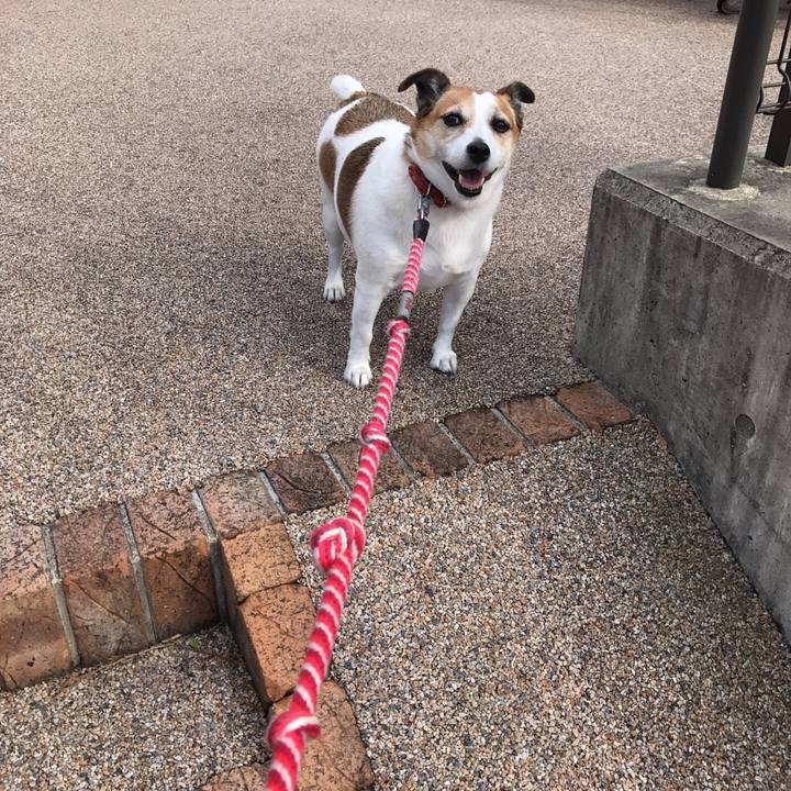 80a0db16 cd65 4a5c b942 08f506eadfe5