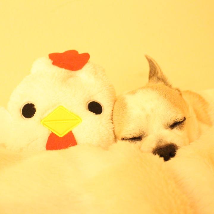 80a1432c 7642 4d36 afb9 63fcc8446f15