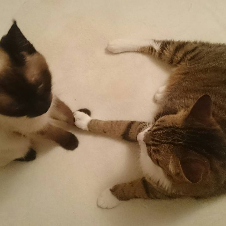 80a162e5 faa8 41b3 aa2a ed812ea8b4de