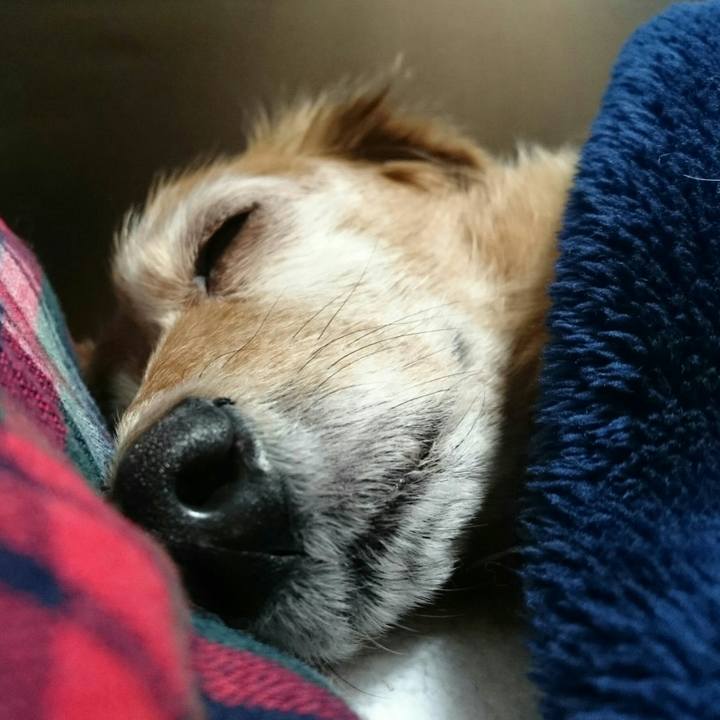 80a1fb16 4da1 4dd4 9724 00e6dc342dcb