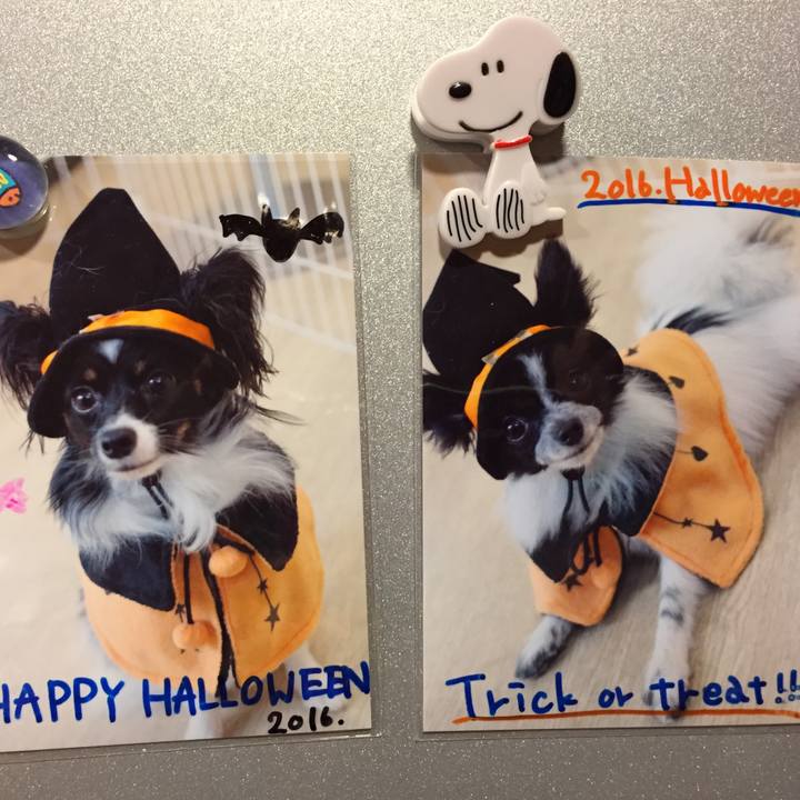 80a22334 3c00 4858 a37a 11a9c7843b33