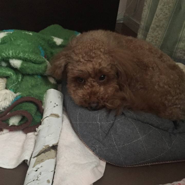 80a28678 65ce 4756 bc98 62826c23903c