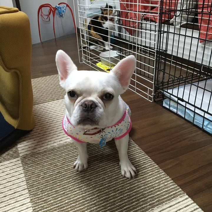 80a2a0a6 6774 44d0 9900 8a3ff09ec167