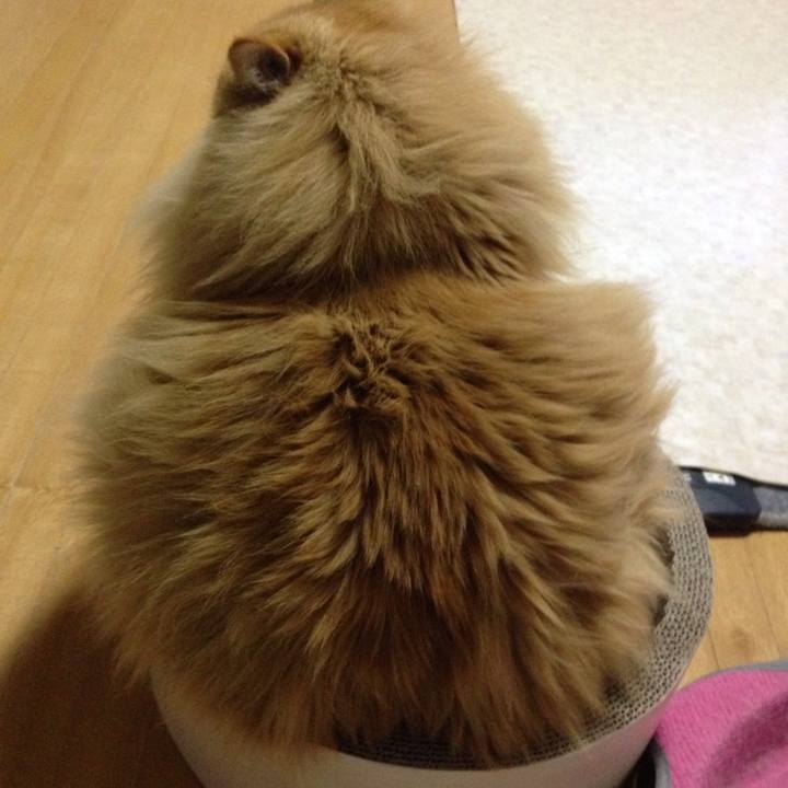 80a2aaf2 4186 4b2f b414 f8faa196e83e