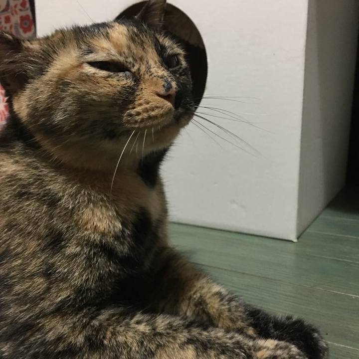 80a3e98c ab8a 43c8 8f90 eb5c31641d89