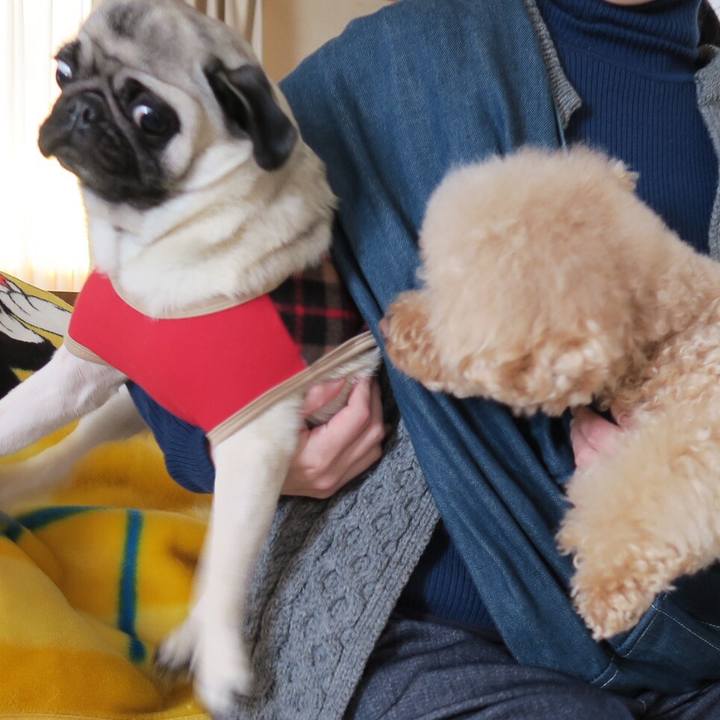 80a3f5f8 8c46 4670 b264 f1990cfa8427