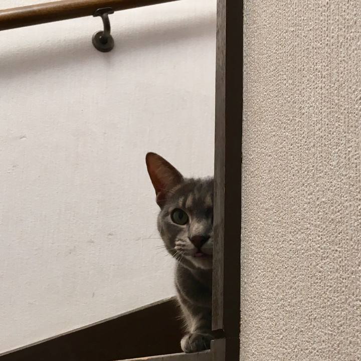 80a4225d e145 4ee6 aa06 118d45ff5b7b