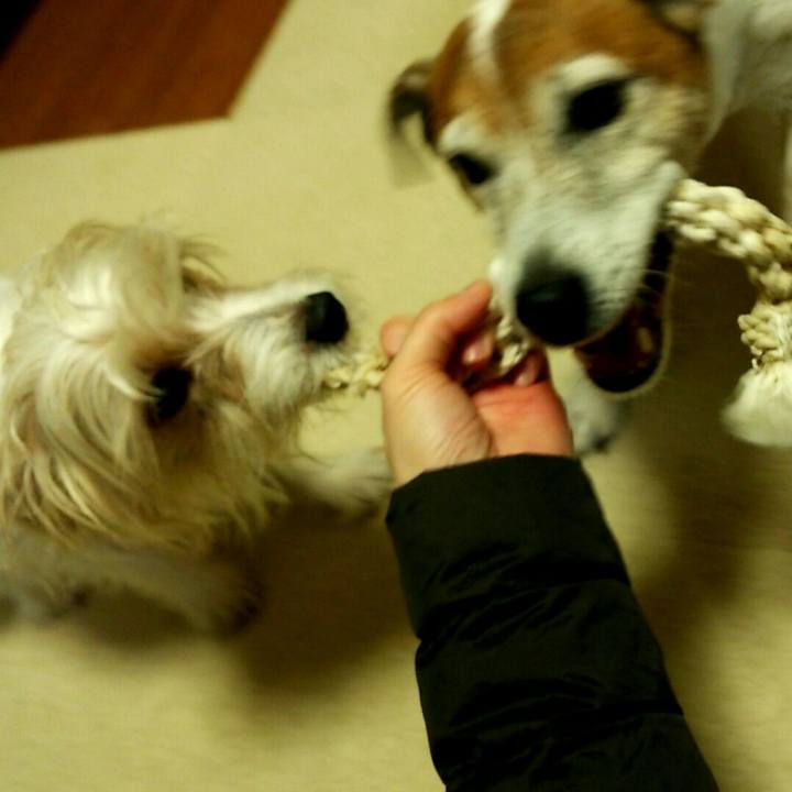 80a47992 01e1 4cf1 b9fb d017c2cfeb0b