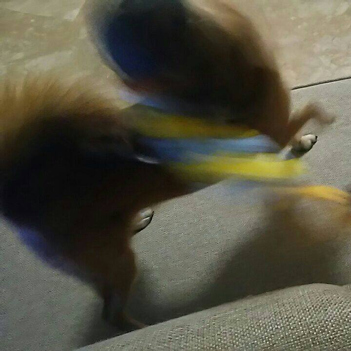 80a4b8fb 1643 43b7 9eb0 6eeb27bbd543