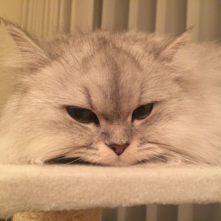 80a4d073 800c 4512 8a7b f46ec70cbb9f