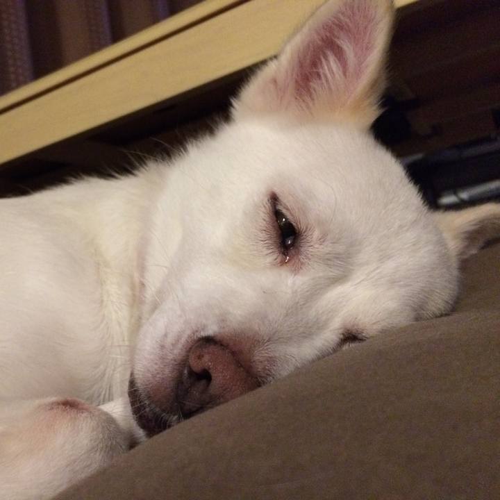 80a5213c e76f 4413 8eb6 748a8840e86b