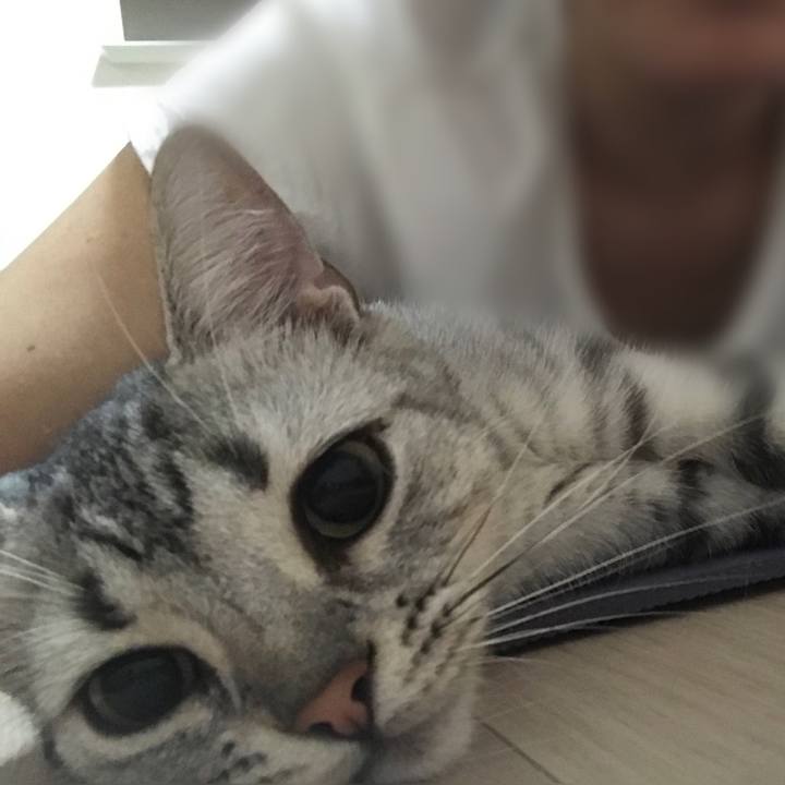 80a5450f 2a28 4c41 a5ee df1cd2a87473