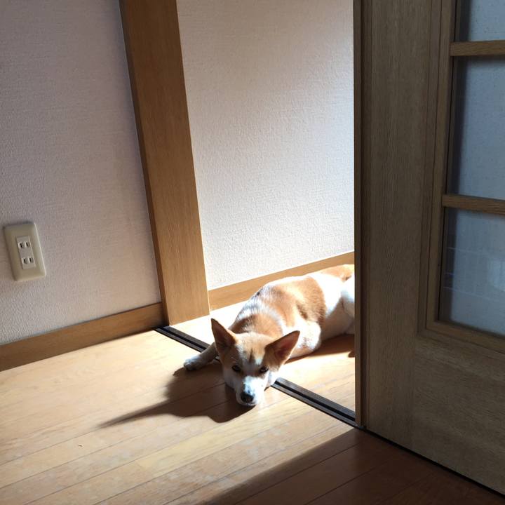 80a5719d e256 4ef7 83d4 761e91c2ed64