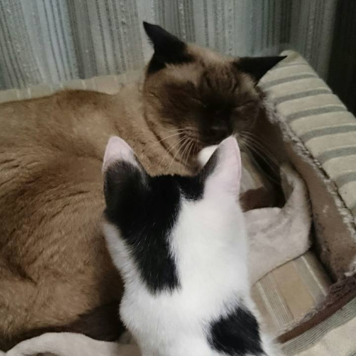 80a6285d c705 47ab 8c3a 87ac20489567