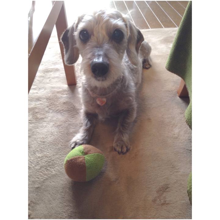 80a6cf4f 9761 42a0 86f2 5ebb688e5721