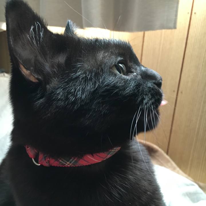 80a72eeb 7f7c 43a9 bb02 6a6dbd6466ad