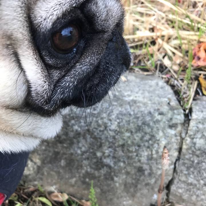 80a7c73e d2a3 4288 b014 a0a6a9cd0e4d