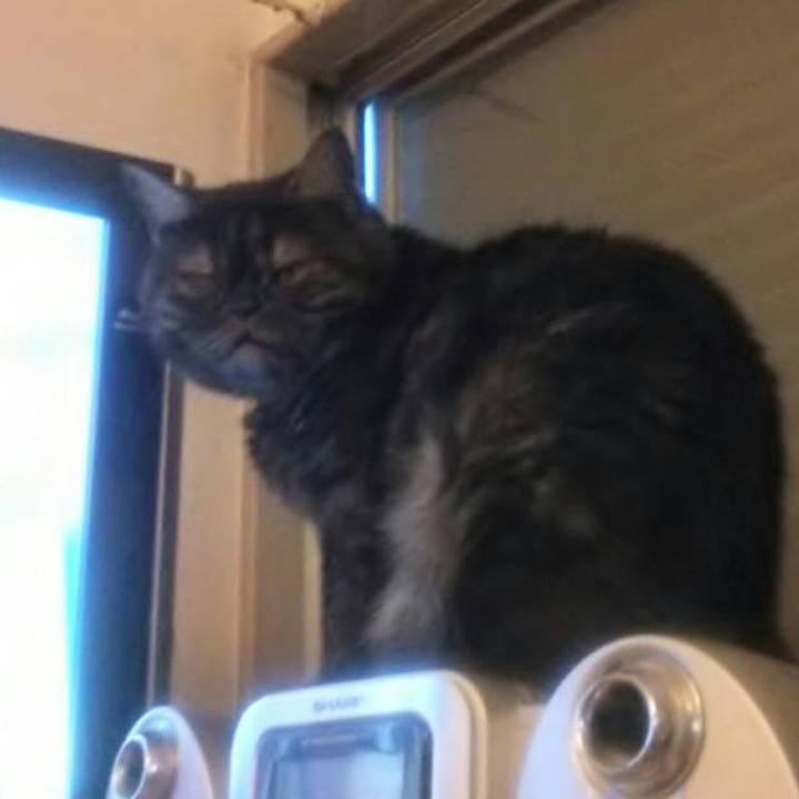 80a7df1d 433c 4e89 822b 4da8bb3727a3