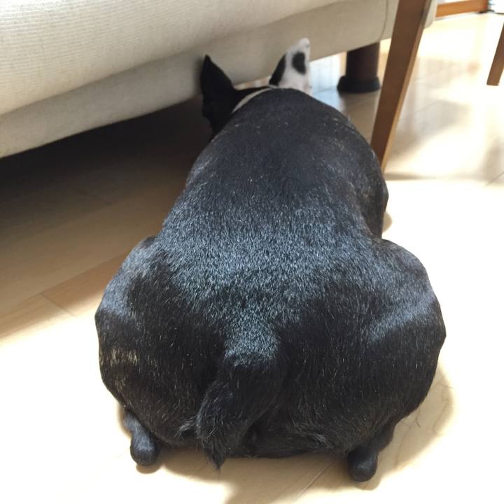 80a82862 f62e 47c5 9ed1 37106f45bbdd