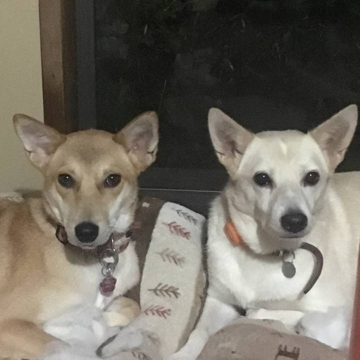 80a858fe 3318 4e4a b3f8 e01404fbbc2d