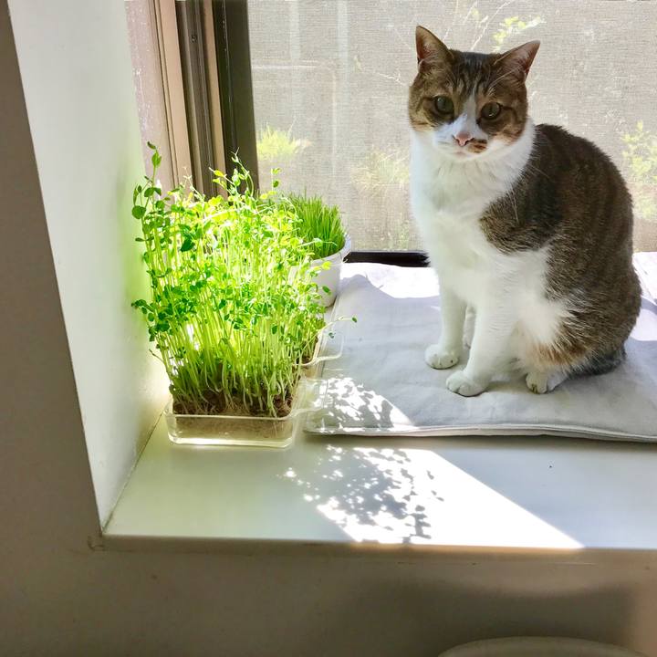 80a89949 eee7 4397 a040 4170e2a5ab00