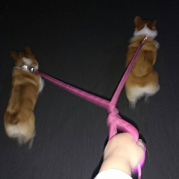 80a8b202 578a 4391 9546 4d10e79c6e61