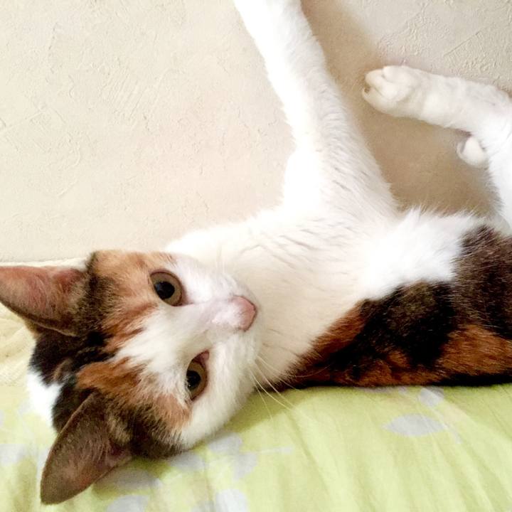 80a8e4ae 13fd 4770 9b41 aad60ea04228