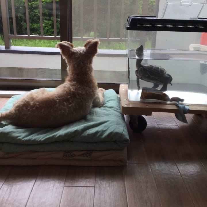 80a8f10c 5905 4547 afb0 988a964e8809