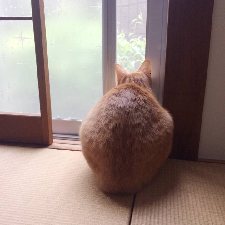 80a911e3 ce27 4a54 8002 00d46f3aa09f