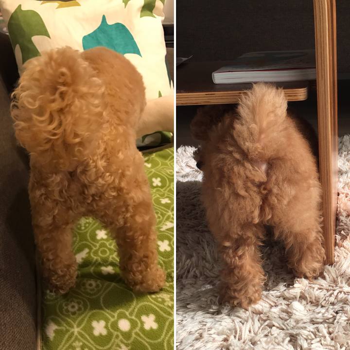 80a916a8 80da 44af a69b 331ff7c62553