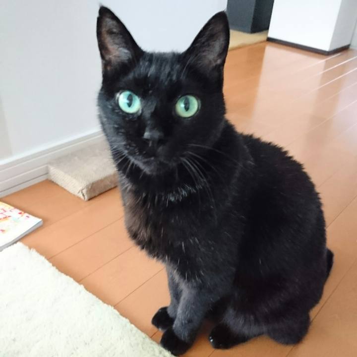 80a94725 321f 4f6d 8ba0 7831bd7f64b9