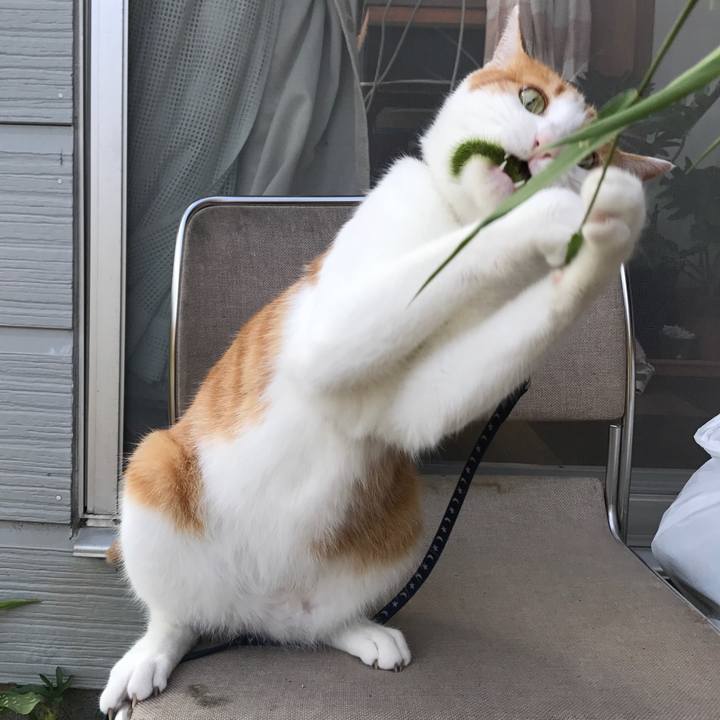 80a9a3e3 77ce 4bb0 a121 114f2b44d372