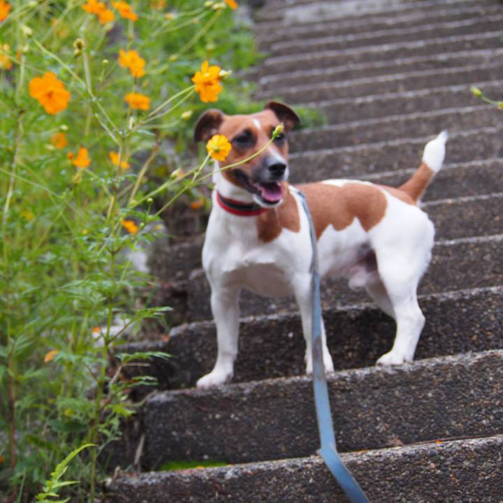 80a9b893 f845 4710 afab 75a54c5ca790