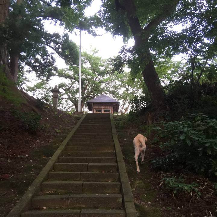 80aa15f3 dd6d 4b8b a59a 71442720cdf9