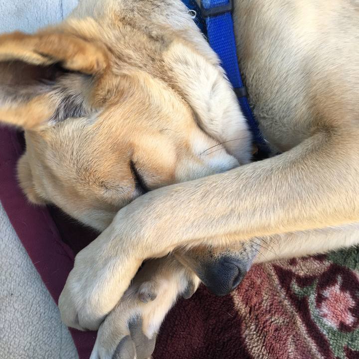 80ab03e9 9b81 4f2f 99e0 fdb2d72b0922