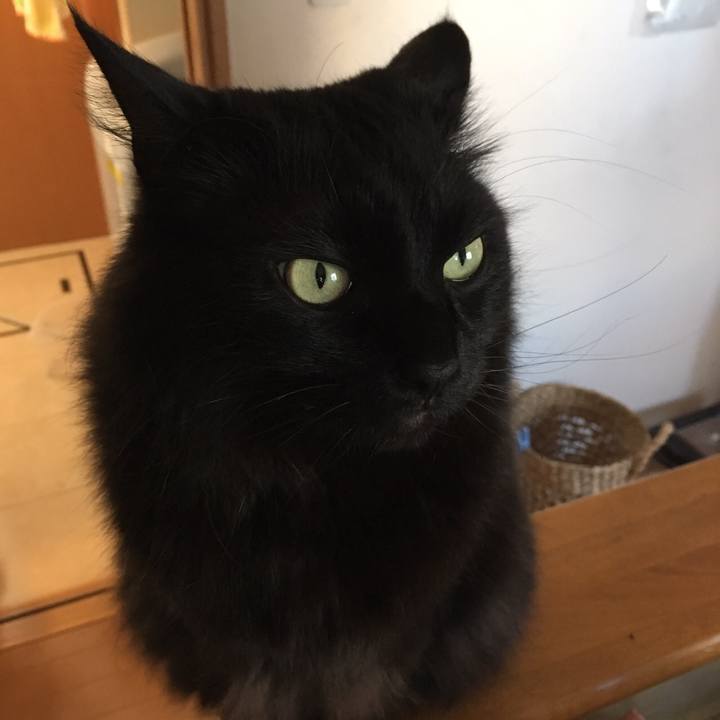 80ab837f 9208 4fe9 a564 ea707a368b27