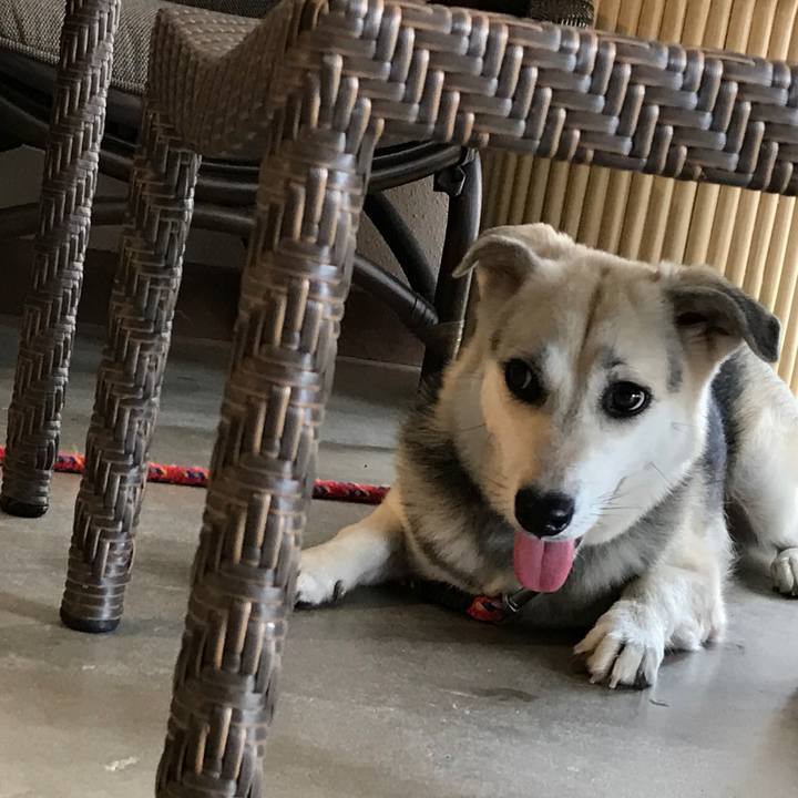 80abfd81 0bd9 4cbd bcf6 2f9c7bbc0ac7