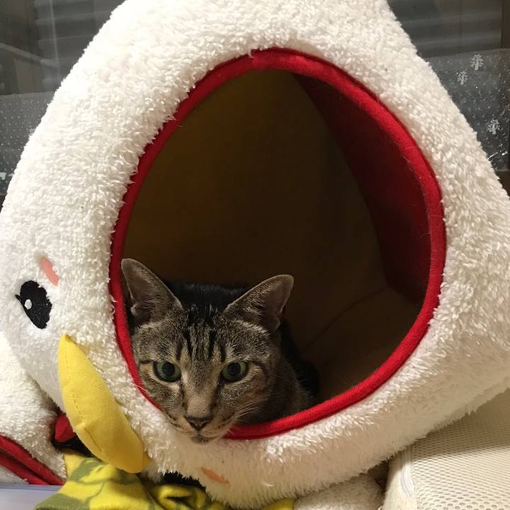 80ac95b0 0c8e 43af b8fe 613ad6eb6f22