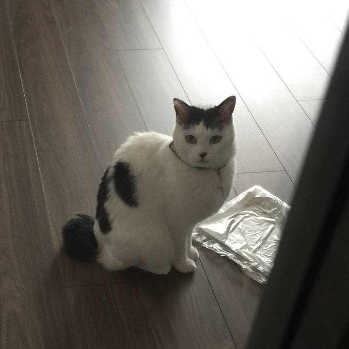 80accde8 f25b 4ba0 a778 6fbc53f2cd46