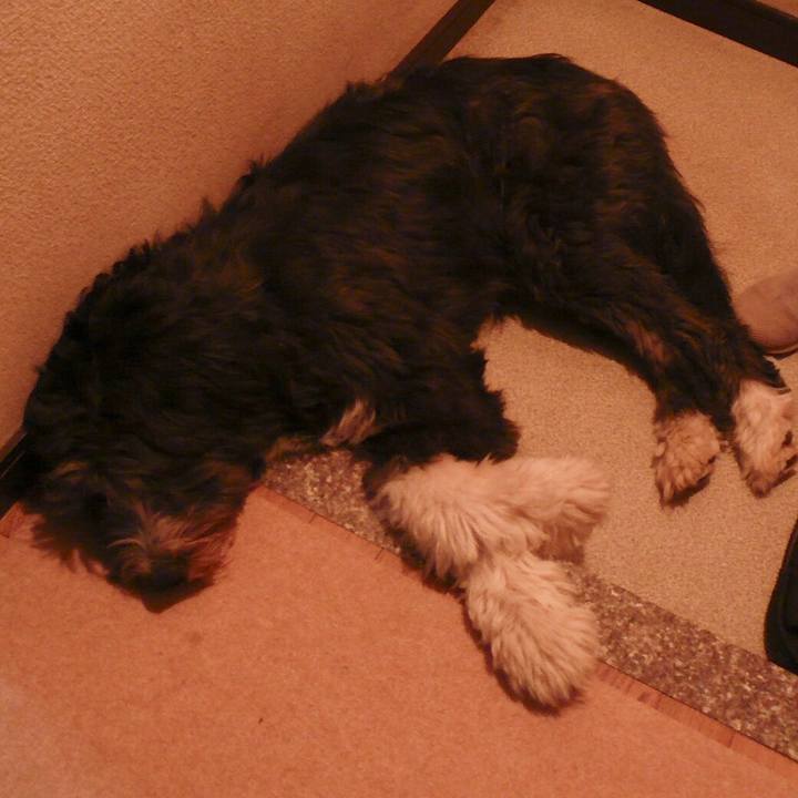 80ad28b0 9b6d 4318 9635 d14802067c22