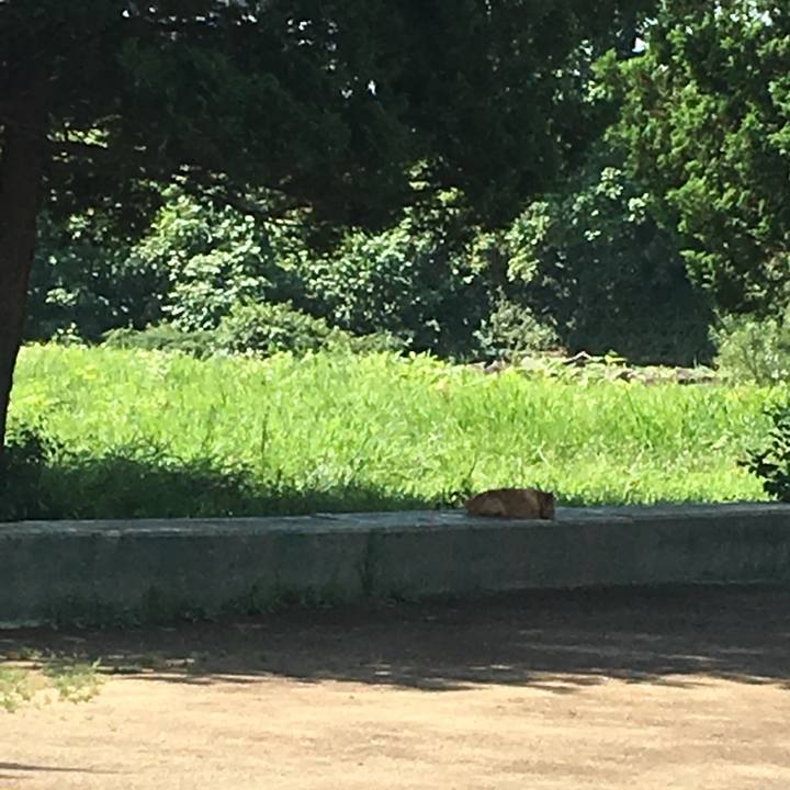 80ad9f3e 2456 4f46 be99 e1ac07f57b97