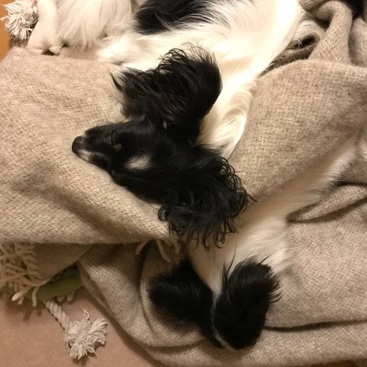 80adaab9 8fd8 425b bd10 5ed6cfbb073b