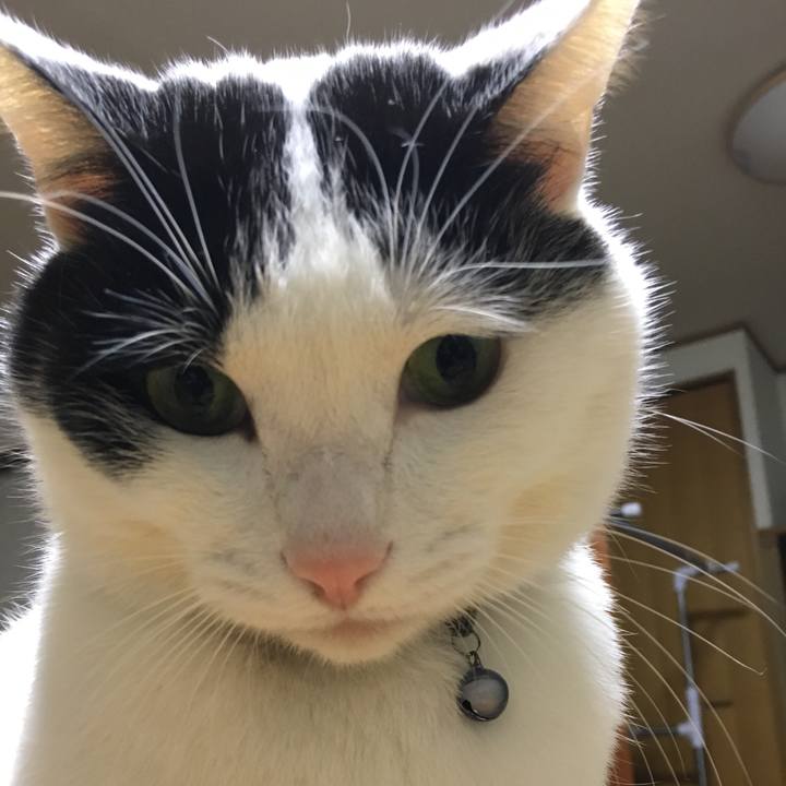 80adf727 1674 48ea 8464 8678c9174b21