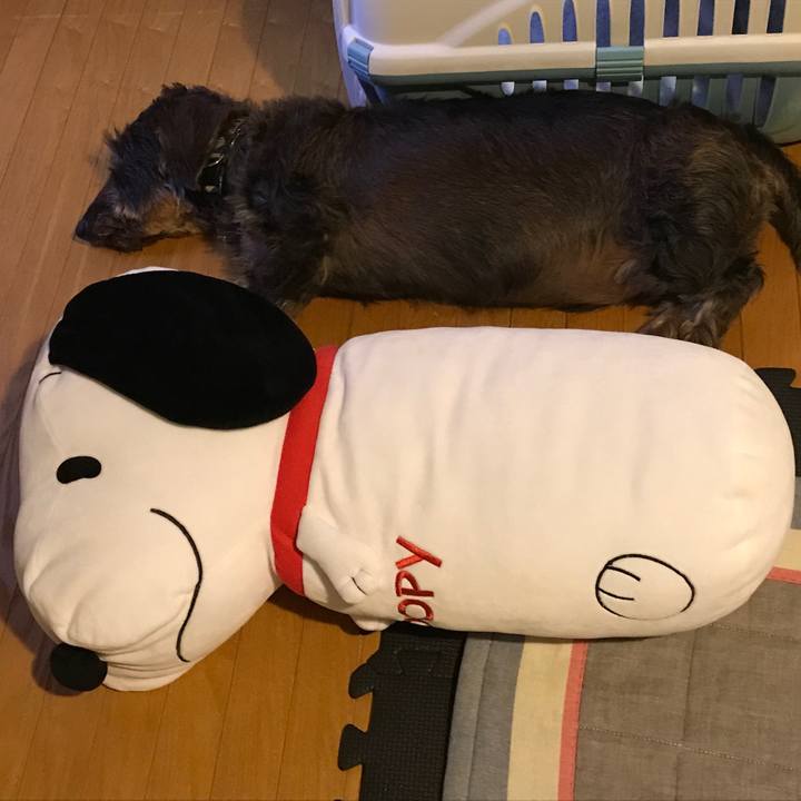 80ae25c4 5739 4629 b136 71ef67ded8d2