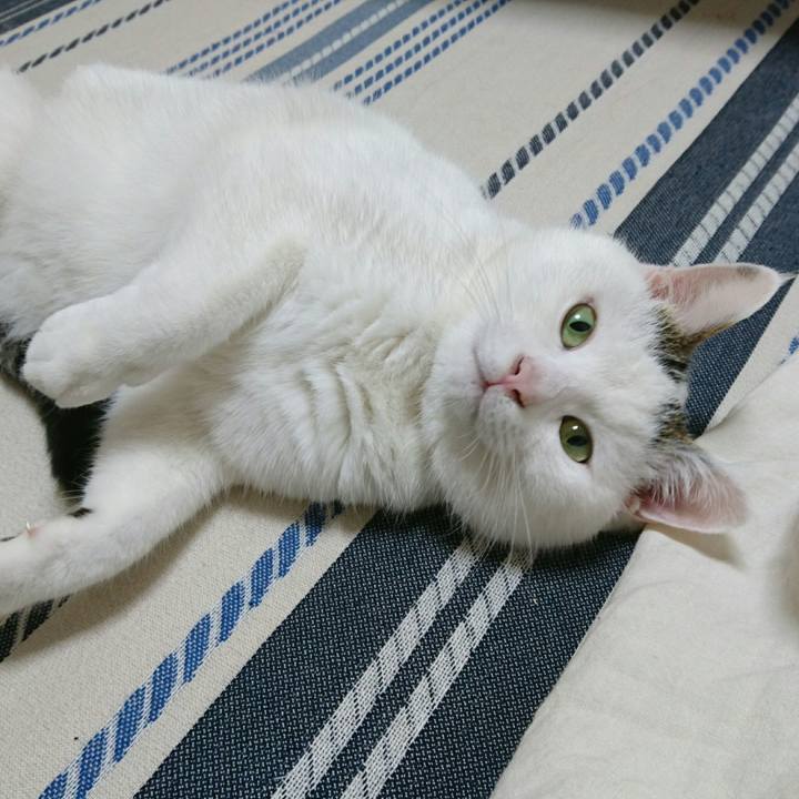 80ae3dd5 c8eb 429b 9576 614a2358eef1