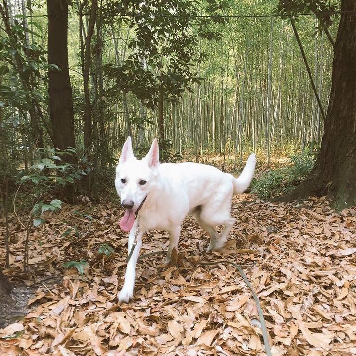 80aeba8e ba72 4fc9 b462 f71f211f8cc8