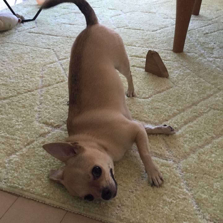 80aec11b 9b69 488c 8eab 5f21ae9aa9cf